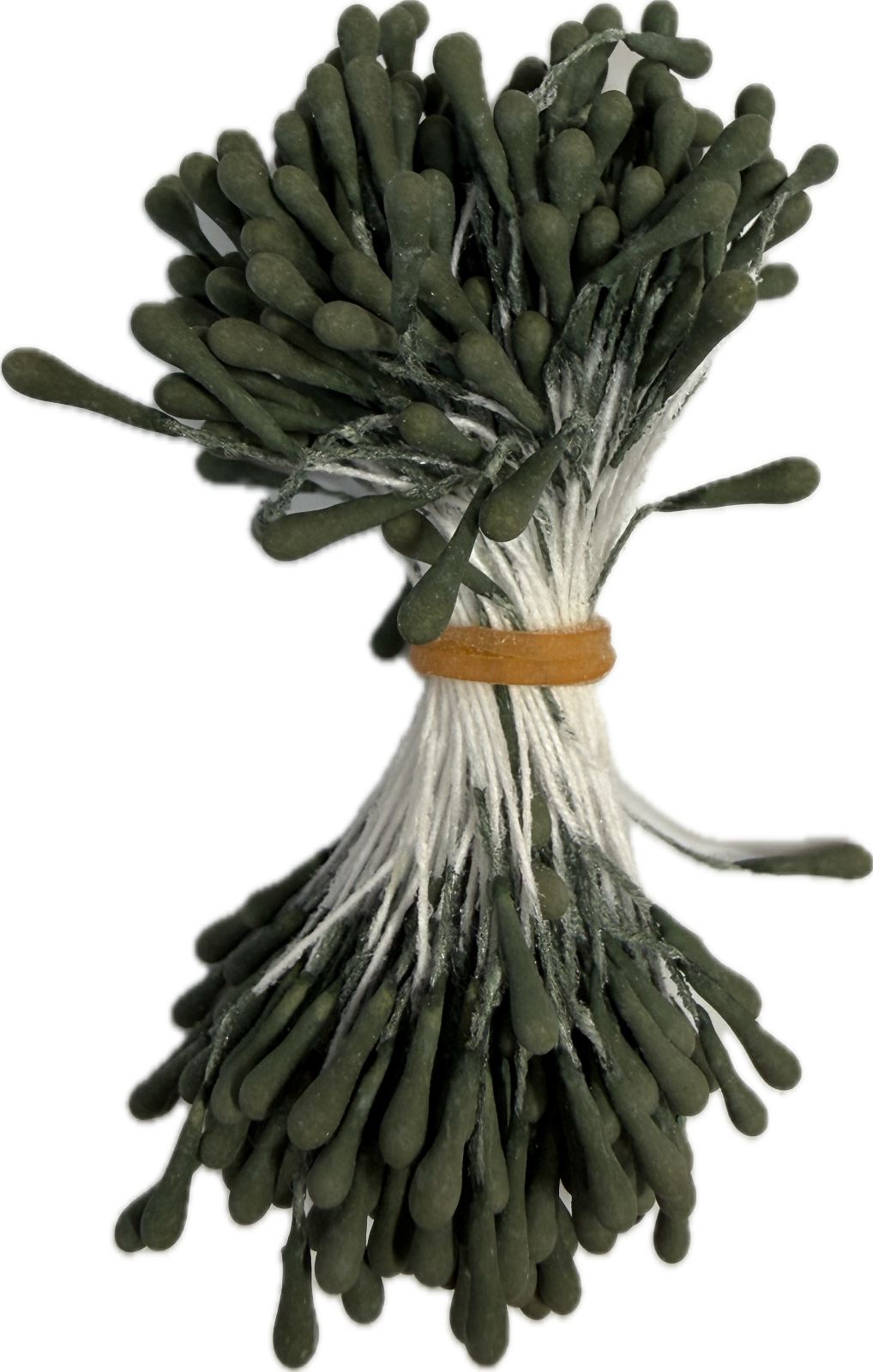 Stamens