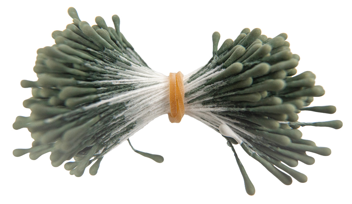 Stamens