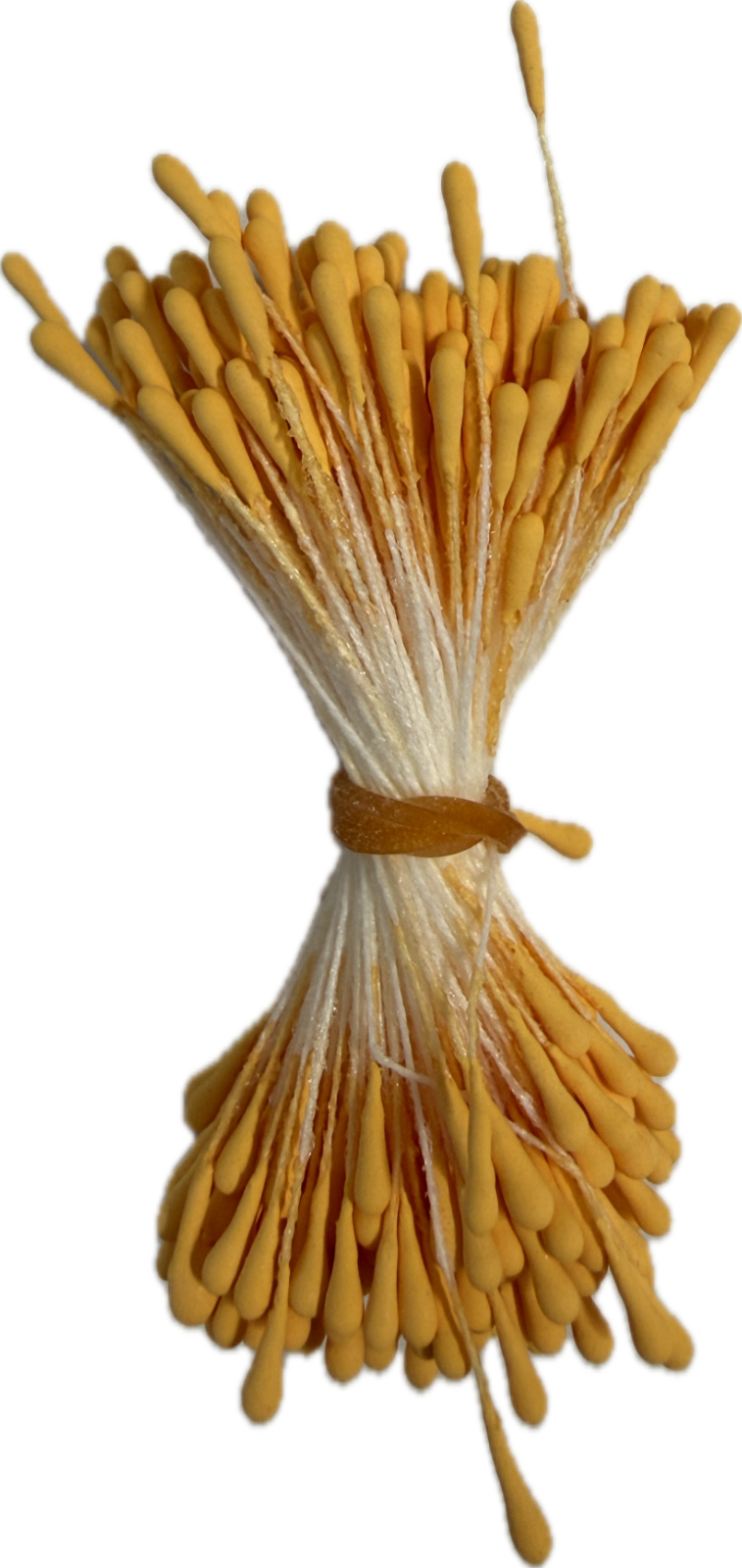 Stamens
