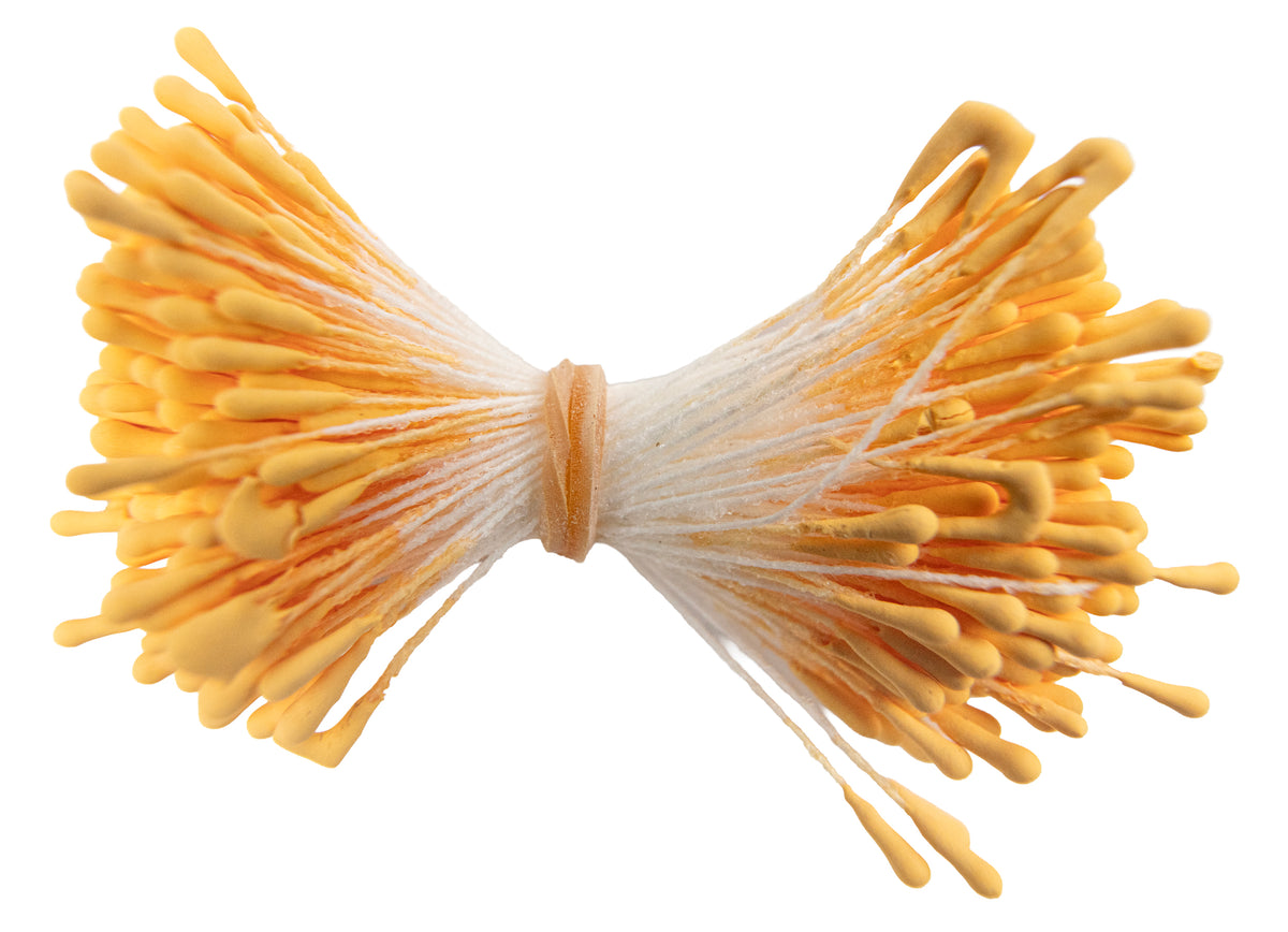 Stamens