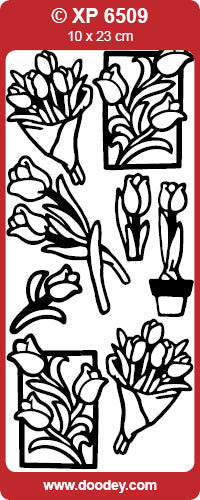 XP6509 Tulips/Various Transparent Peel off
