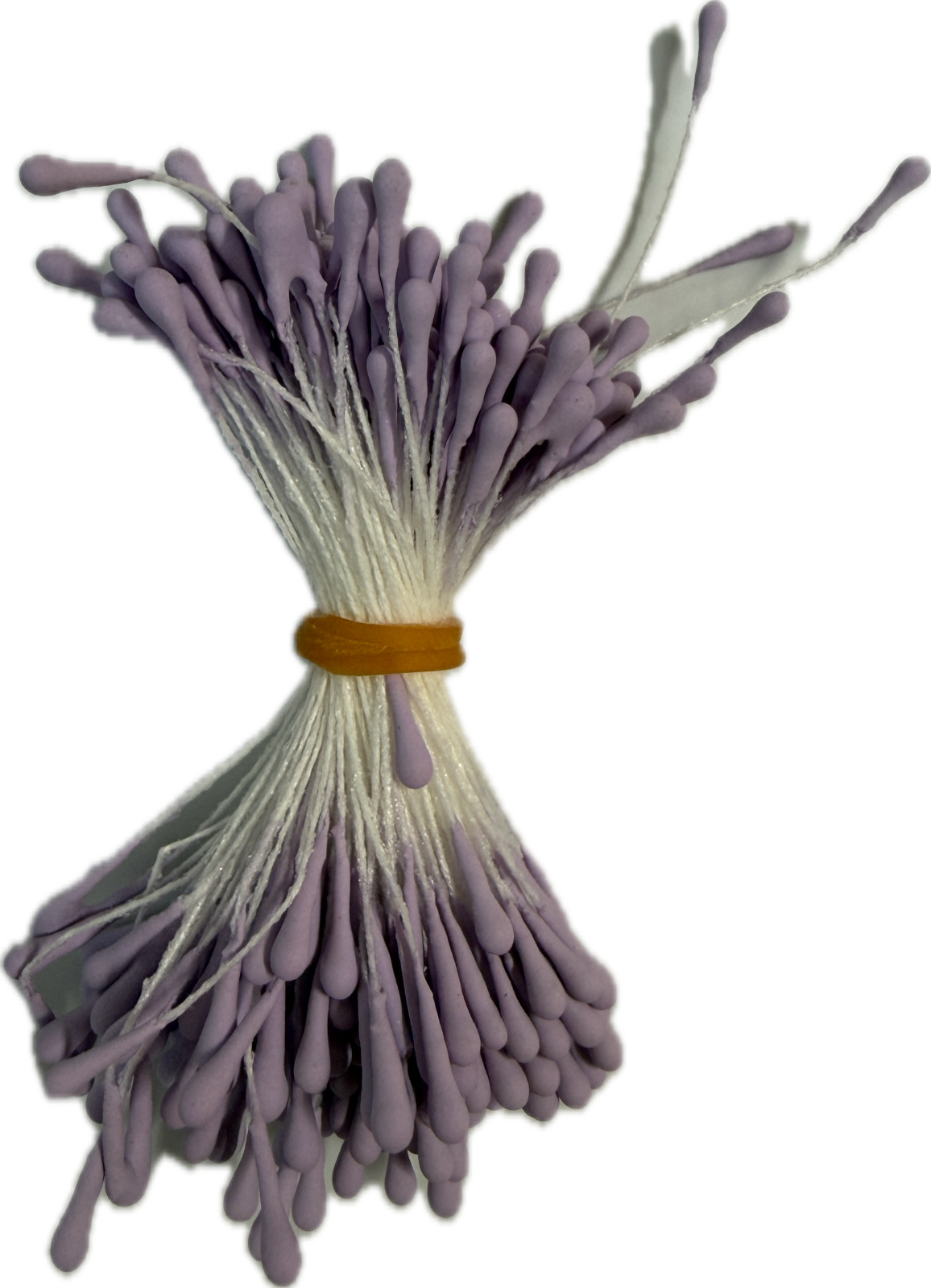 Stamens