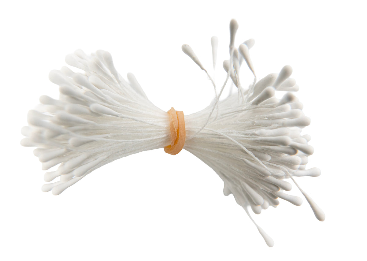 Stamens